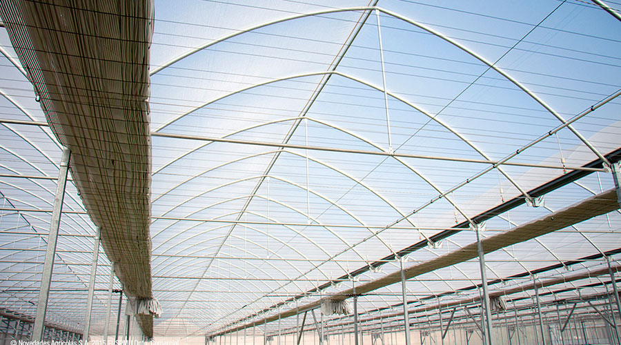 Multi-tunnel greenhouses, a good treatment in ecological